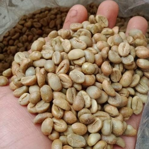 Java Robusta Natural Grade Fine (Specialty Coffee)